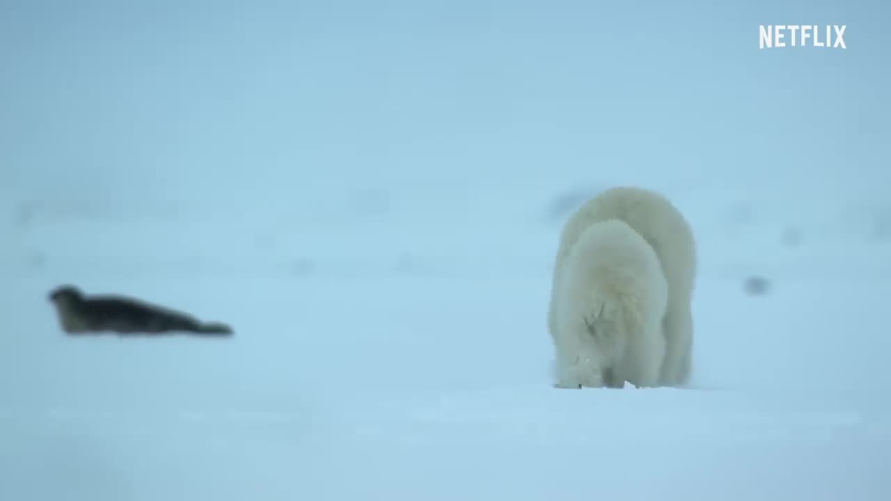 Our Planet | Frozen Worlds | Full Episodes