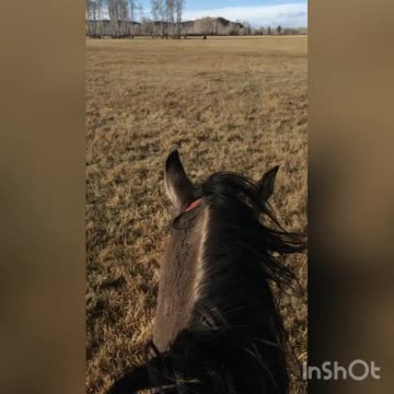 Trotting after the straggler