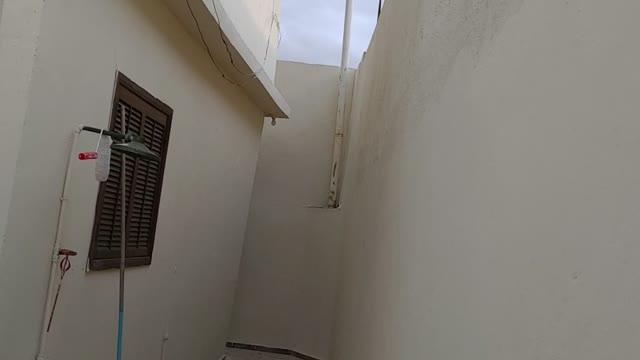 Meu vídeo