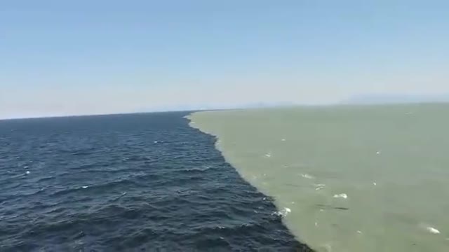 Where two waters meet but don't mix