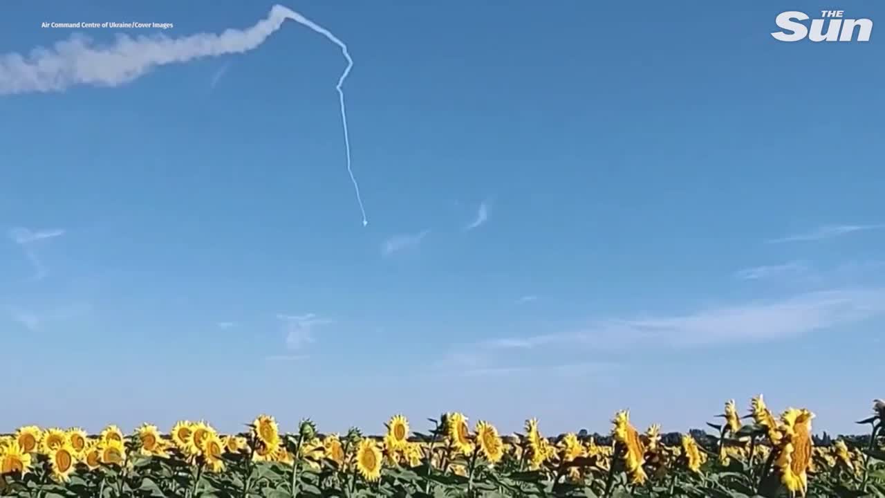 Ukrainian troops shoot down Russian drone amid sunflower fields