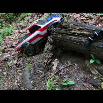 Happy 4th of July from Beardown!!