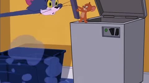 Tom and jarry funny videos