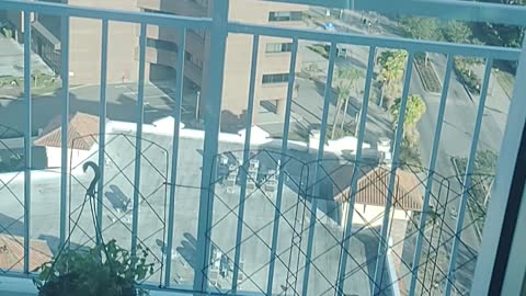 Tampa Bay Chemtrail Report, 1/20/2022