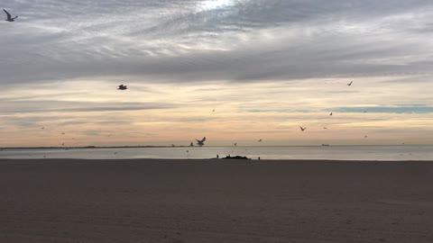 Early Morning at Coney Island