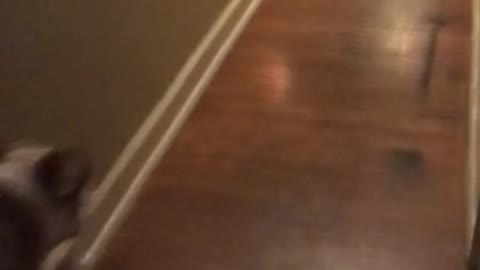 who’s with me “upstairs neighbors suck” 😨