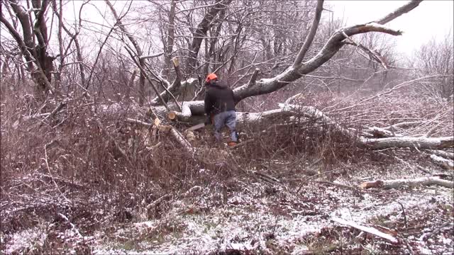 Vintage Saws, Can You Work With Them? ( Husqvarna L77 )