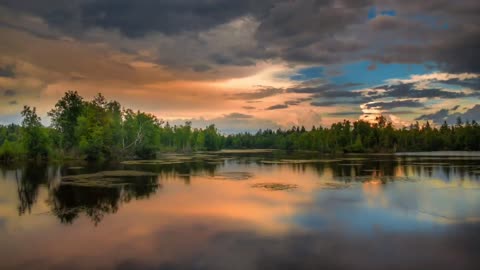 Relaxing Music 24/7, Stress Relief Music, Sleep Music, Meditation Music, Study, Calming Music"