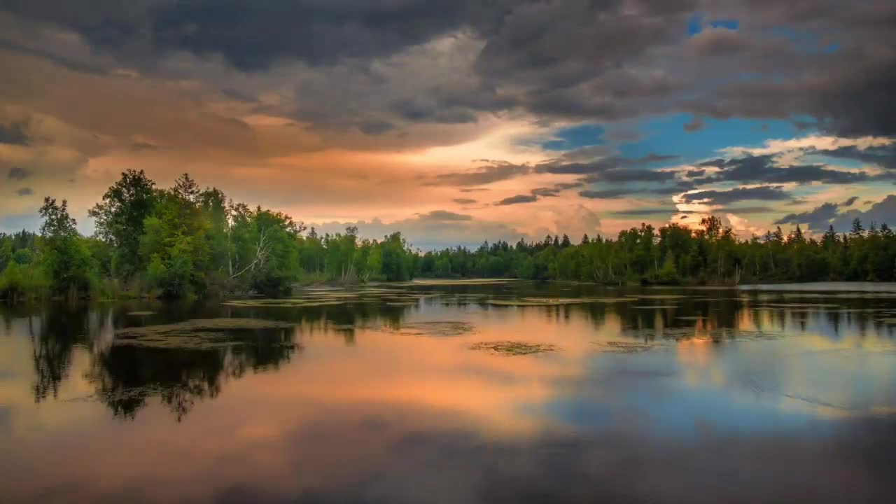 Relaxing Music 24/7, Stress Relief Music, Sleep Music, Meditation Music, Study, Calming Music"