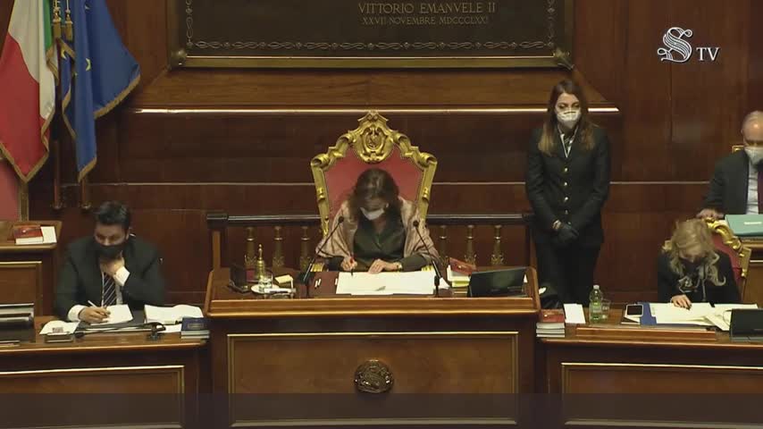 Erika Stefani (Lega), Senato, 19/1/21