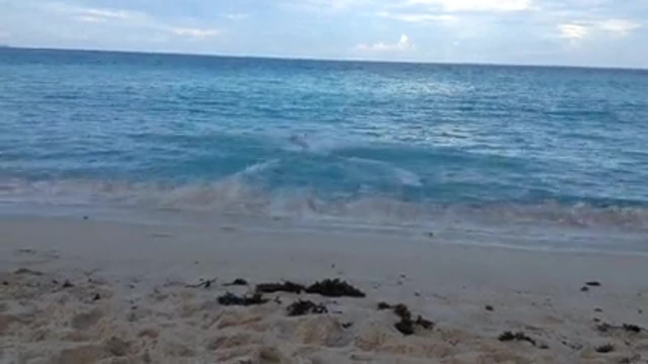 Skating on water