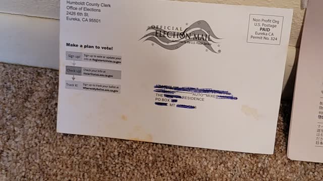 Vote. In. Person. from now on