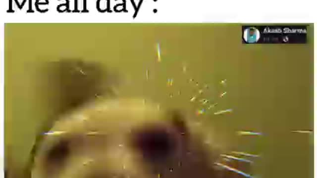 Vallagena | funny video | viral