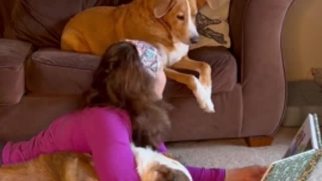 Daring Darby Balances on Woman's Feet