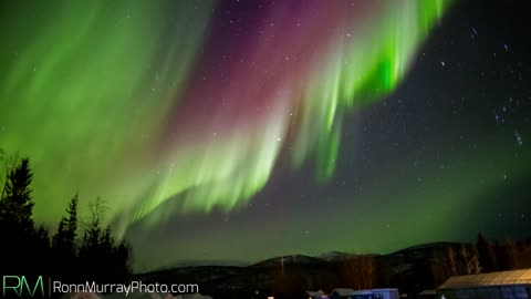 Northern Lights