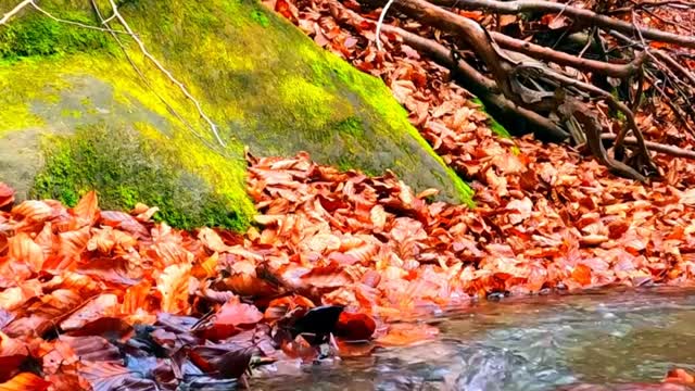 River flow water 4k UHD