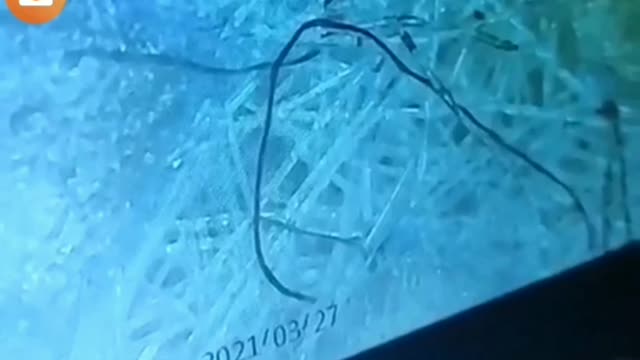 Mask contains something tiny and moving