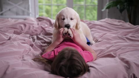 Young girl playing with a puppy