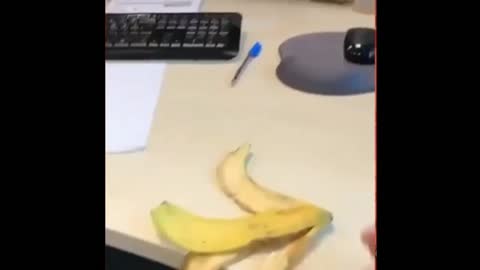 Funny video someone hit boss with banana skin