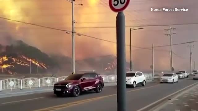 Wildfire closes in on nuclear power plant in South Korea