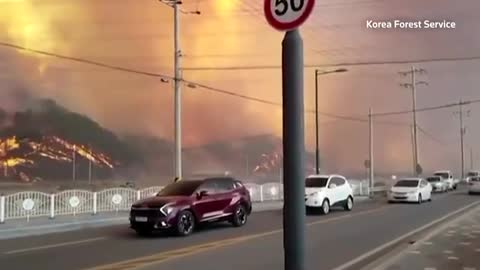 Wildfire closes in on nuclear power plant in South Korea