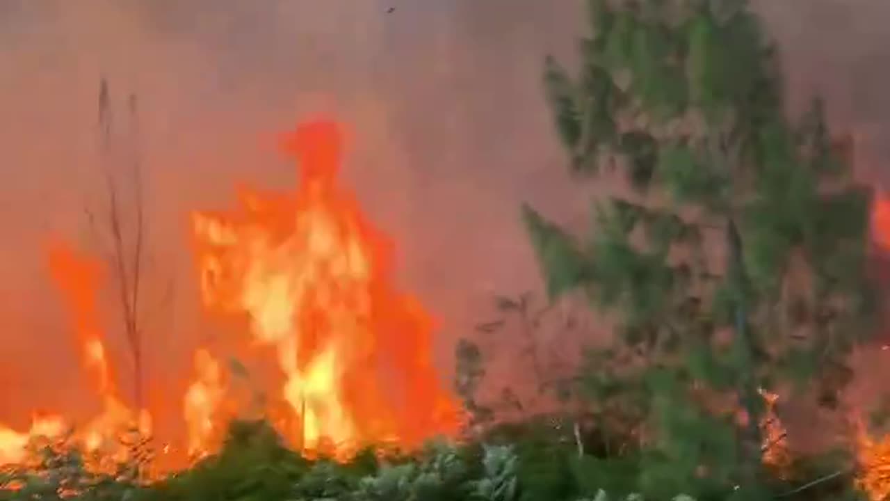 BREAKING: Major brush fire in Miami dade, Florida.