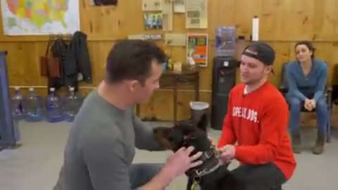 Dog training with e collar