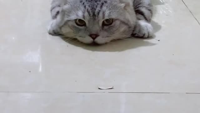 I'm lazy todeiiiiiiii