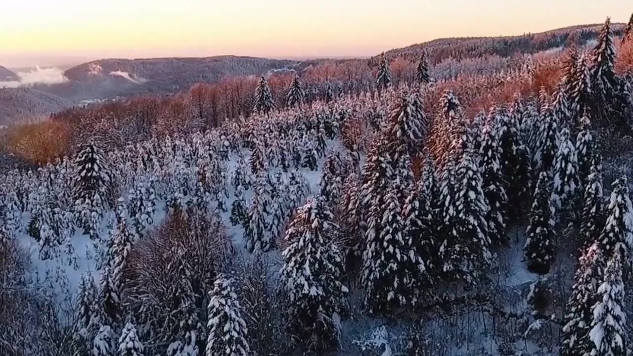 "Embracing Nature's Beauty: A Journey Through the Wilderness"