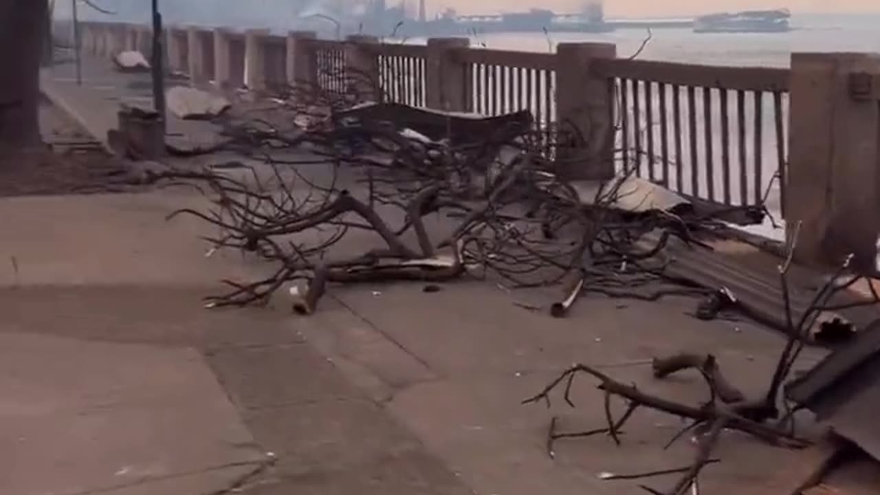 Maui Fires - The Future