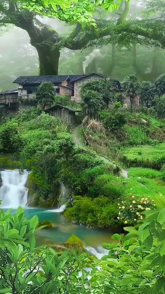 What a beautiful place and trees.