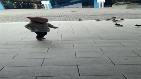 Small afraid of pigeons