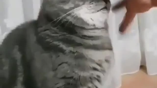 I'm very fierce, oh, bite you