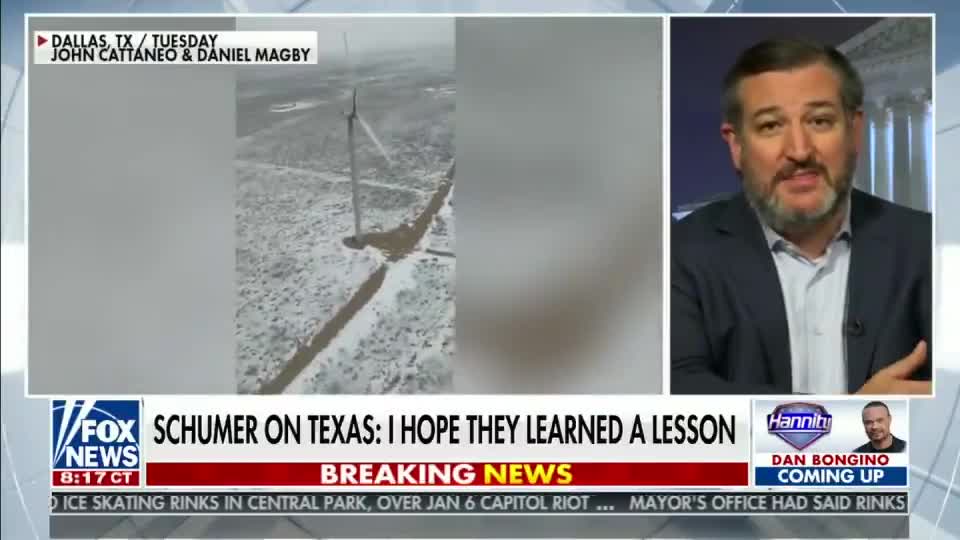 Ted Cruz Talks Electric Grid on Hannity