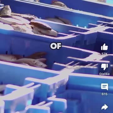 Andrew Tate and His First Couple of Jobs #viral #fyp #andrewtate