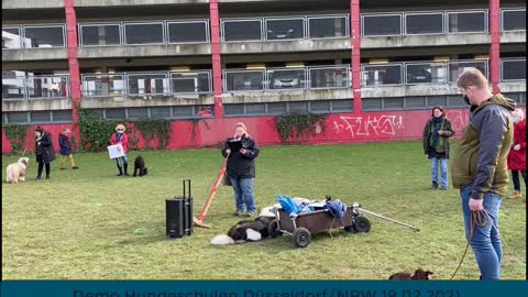 Demo der Hundeschulen NRW Düsseldorf 19.02.2021