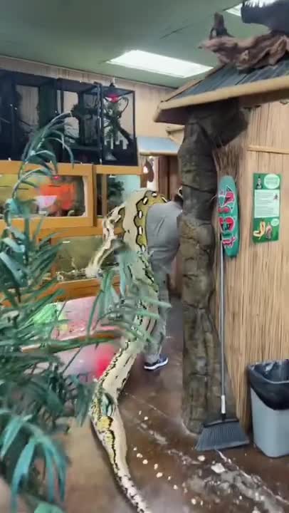 FUNNY AND CUTE ANIMALS 🐍⚕️