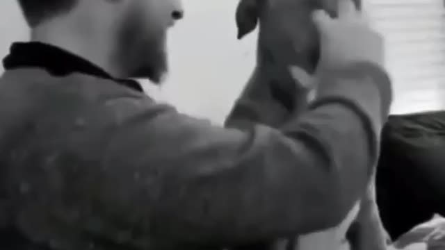 Beating dog