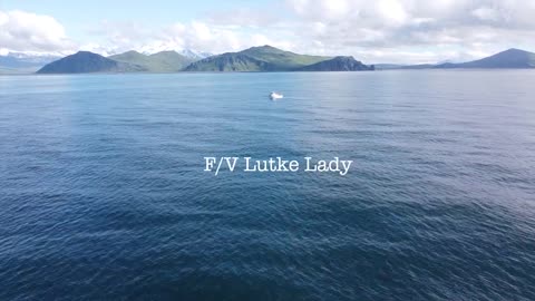 F_V Lutke Lady