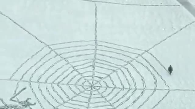 spider made of snow