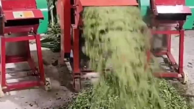 Amazing fastest time saving chaff cutting machine shorts chaff machine