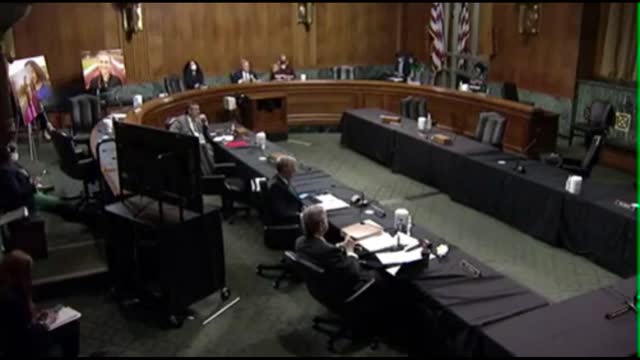 Equality Act -- Sen. John Kennedy asks Witness -- 'How many sexes do you think there are'