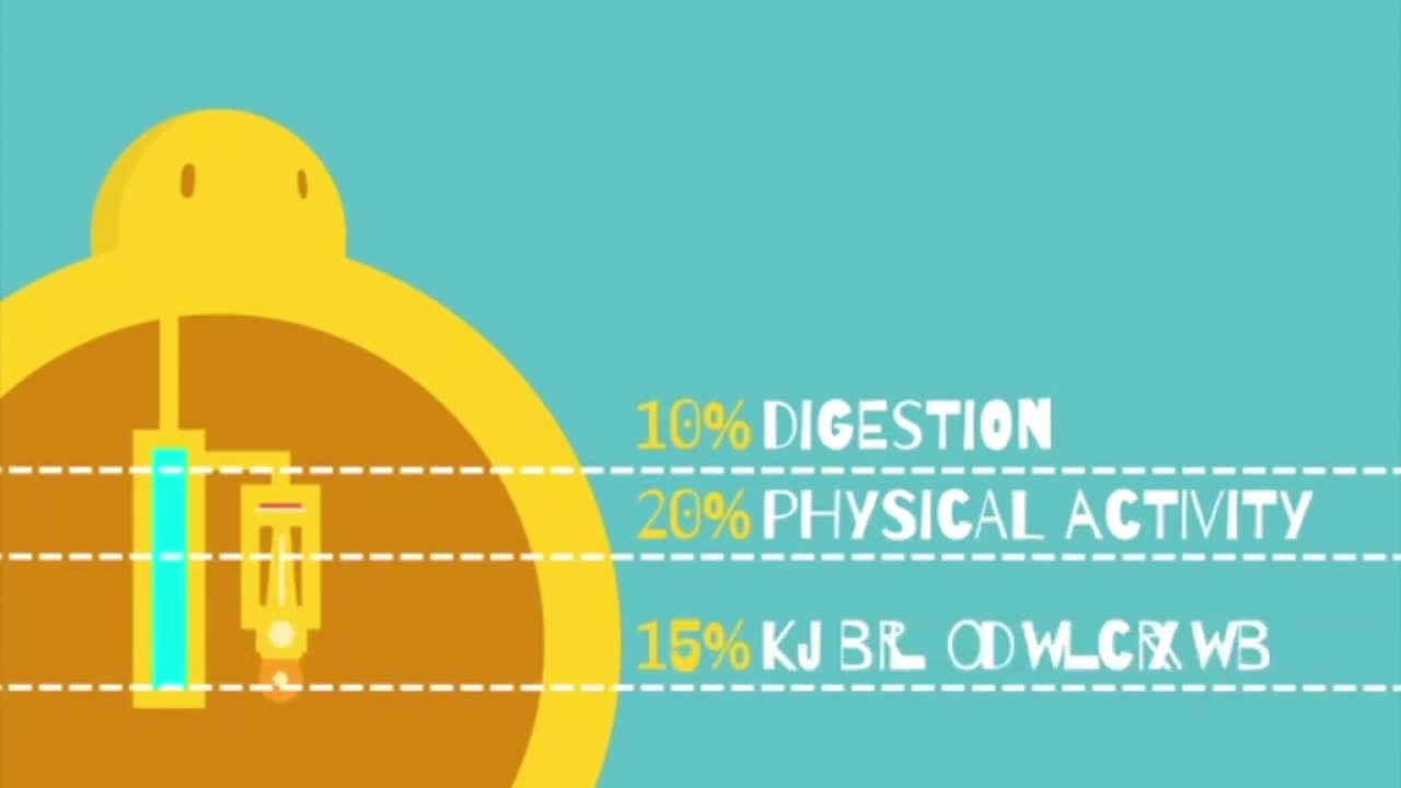 The support calories provide to the human body