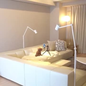 This dog is so talented🤣