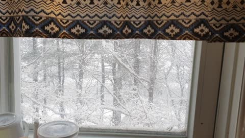 Snowy woods from a window