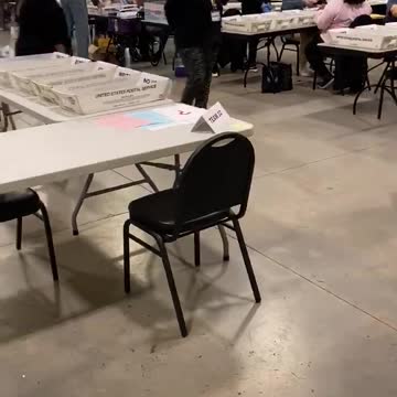 Insider Video of the Vote Recount Shows How Horrifying This Really Is