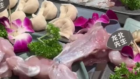 Funny chicken video 😜