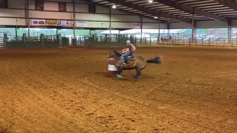 Morgan and Molly The comeback mare makes a showing