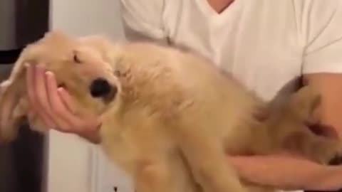 Scratching yourself on the couch!!!