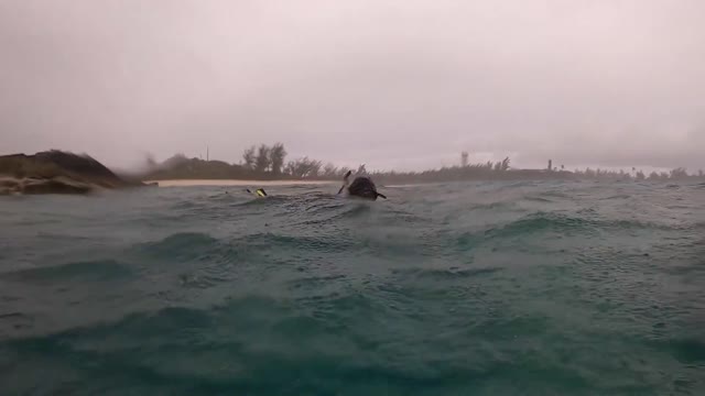 Rainy Snorkelling